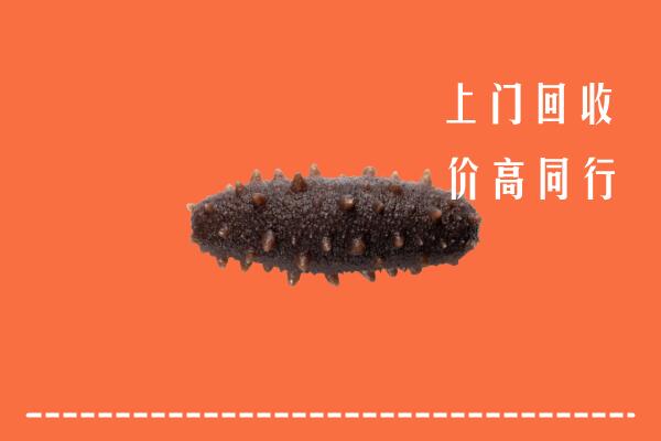 高价求购：曲麻莱县回收海参