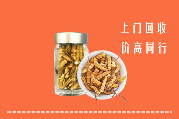 曲麻莱县回收冬虫夏草