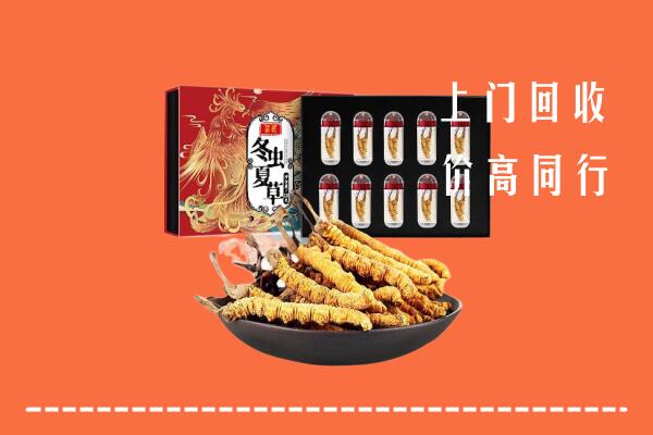 曲麻莱县回收虫草